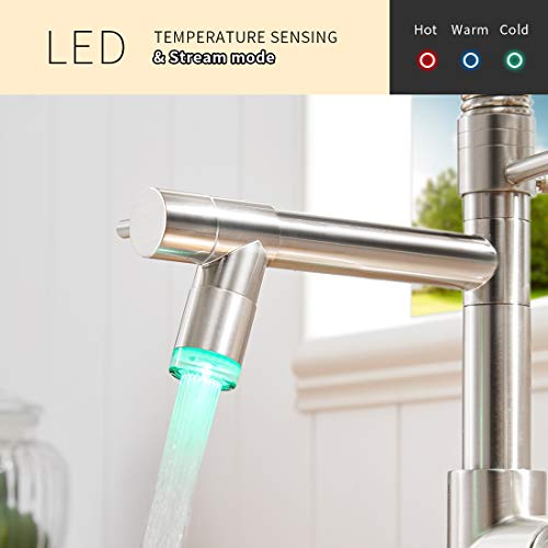 AIMADI Commercial Pull Down Kitchen Faucet Sprayer with LED Light,Brushed Nickel