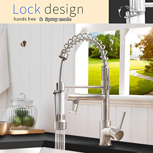 AIMADI Commercial Pull Down Kitchen Faucet Sprayer with LED Light,Brushed Nickel